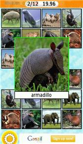 game pic for Animals photomatch